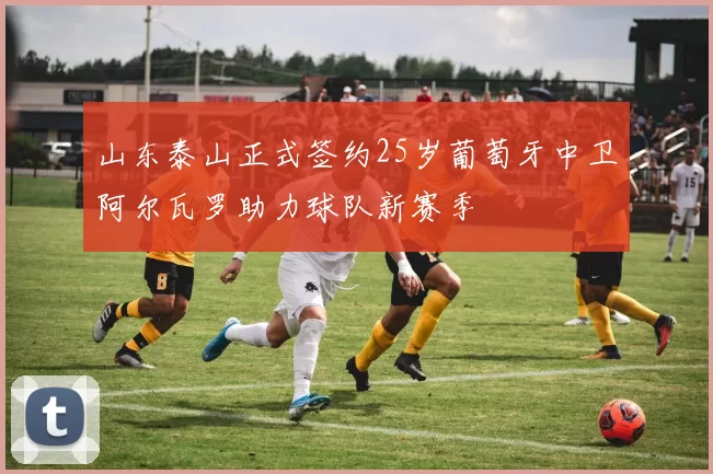山东泰山正式签约25岁葡萄牙中卫阿尔瓦罗助力球队新赛季
